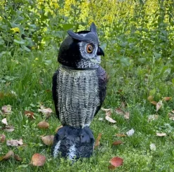 Best Solcelledrevet fugleafviser Owl Sonic 3-i-1 Insektmiddel & Dyreafvisende Middel