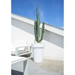 Krukker & Plantebeholdere^SOLEILLA HAUT 53 VIT