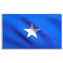 Online Somalia Flag - 150 x 90 cm Flag & Vindposer