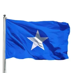 Online Somalia Flag - 150 x 90 cm Flag & Vindposer