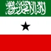 Best Somalilands flag Flag & Vindposer