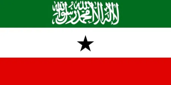 Best Somalilands flag Flag & Vindposer