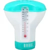 Pool- & Spatilbehør^Spa Chemical Dispenser med termometer Återanvändbar Lake Blue Swimming Pool Chlorine Tablet Floater