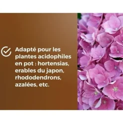 Sale Speciel pottejord til lyngplanter - BROWN GOLD - OBRTBRU6U - 6L - Bedre roddannelse Jord & Sand