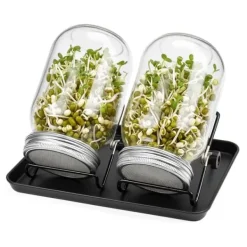 Spireglas Sæt, 16,5x10 cm, Glas Kit Til Plante- & Urtedyrkning