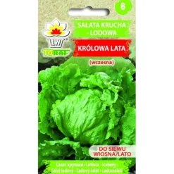 Clearance Sprød isbergsalat SOMMERENS DRONNING 1 g Frø