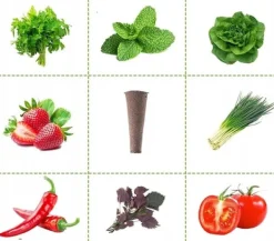 Kit Til Plante- & Urtedyrkning^STARTERSÆT TIL FROMSTOLPER, INSPEKTION FROMSTOLPER, 50 PATRONER, SUBSTRAT, HYDROPONIKS