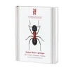 Outlet Steklar : myror - getingar. Hymenoptera : formicidae - vespidae Insektmiddel & Dyreafvisende Middel