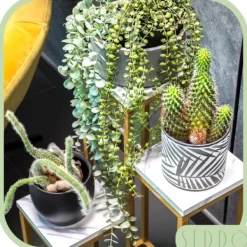 Online Stående blomsterstativ, metalhylde, blomsterstativ, planter, potter, 4 niveauer Krukker & Plantebeholdere