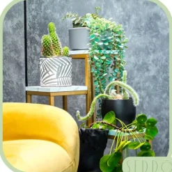 Online Stående blomsterstativ, metalhylde, blomsterstativ, planter, potter, 4 niveauer Krukker & Plantebeholdere
