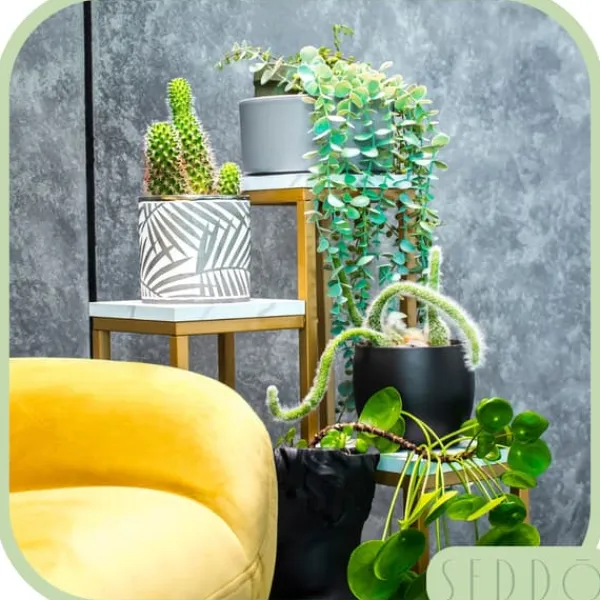 Online Stående blomsterstativ, metalhylde, blomsterstativ, planter, potter, 4 niveauer Krukker & Plantebeholdere