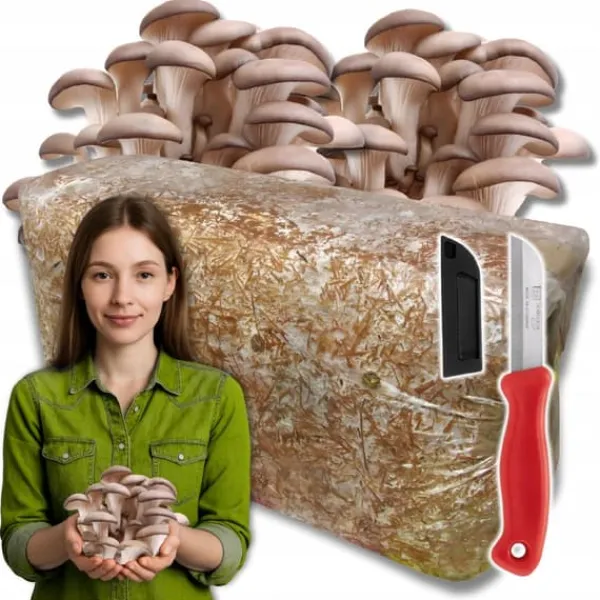 Kit Til Plante- & Urtedyrkning^Østershattemyceliumballe 15 kg hjemmedyrkning hurtig høst + gratis