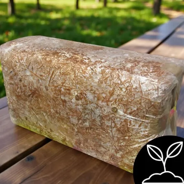Kit Til Plante- & Urtedyrkning^Østershattemyceliumballe 15 kg hjemmedyrkning hurtig høst + gratis