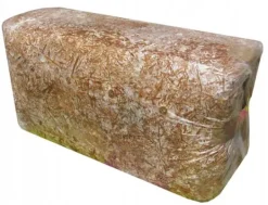 Kit Til Plante- & Urtedyrkning^Østershattemyceliumballe 15 kg hjemmedyrkning hurtig høst + gratis