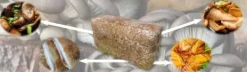 Kit Til Plante- & Urtedyrkning^Østershattemyceliumballe 15 kg hjemmedyrkning hurtig høst + gratis