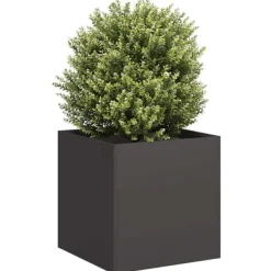 Krukkeplanter Indendørs^Stilfuld plantekasse i koldvalset stål - Højbed | Farve: Sort | Størrelse: 40x40x40 cm