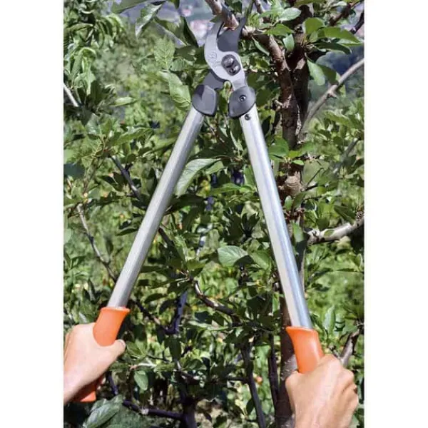 Haveværktøj^Stocker Lopper Löwe Bypass 65 Cm