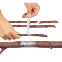 Haveduge^Stocker Perforeret Buddy Tape 25x40 Mm 60 M