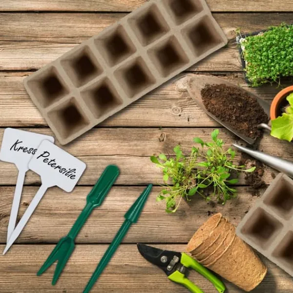 Online Sætte med plantepotter, 5x3,5x3,5 cm, Brun Kit Til Plante- & Urtedyrkning