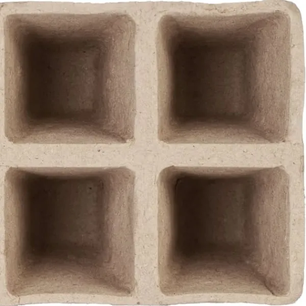 Online Sætte med plantepotter, 5x3,5x3,5 cm, Brun Kit Til Plante- & Urtedyrkning