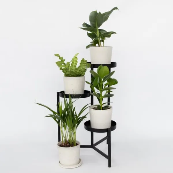 Krukkeplanter Indendørs^Stueplanter 'Green Quartet' - Sæt med 4 - Højde 25-40cm - ⌀12cm