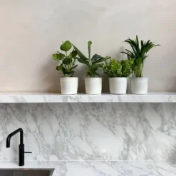 Krukkeplanter Indendørs^Stueplanter 'Green Quartet' - Sæt med 4 - Højde 25-40cm - ⌀12cm
