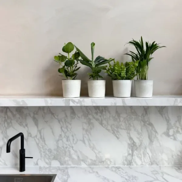 Krukkeplanter Indendørs^Stueplanter 'Green Quartet' - Sæt med 4 - Højde 25-40cm - ⌀12cm