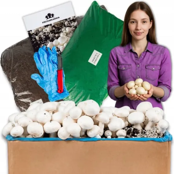 Hot Svampe til dyrkning, svampespire, 30 kg, stort sæt, instruktioner + gratis Kit Til Plante- & Urtedyrkning