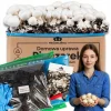 Kit Til Plante- & Urtedyrkning^Svampedyrkningssæt 5 kg mycelium Hjemmesvampedyrkning + Gratis