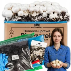 Kit Til Plante- & Urtedyrkning^Svampedyrkningssæt 5 kg mycelium Hjemmesvampedyrkning + Gratis