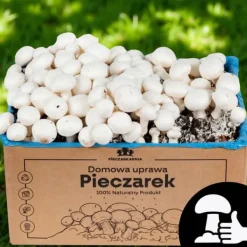 Outlet Svampemycelium 3-faset 20 kg dyrkningssæt ballesubstrat + tørv 9 kg Kit Til Plante- & Urtedyrkning
