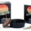 Online The Mini Bonsai Kit Kit Til Plante- & Urtedyrkning