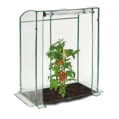 Hot Tomatdrivhus fra Robustiek med PVC-film Drivhus