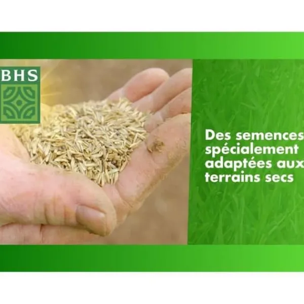 Jord & Sand^Torr Ground Replenishment Lawn - BHS - 3kg | 150 m² | Stark och hållbar, med utmärkt hållbarhet och tolerans mot tramp.