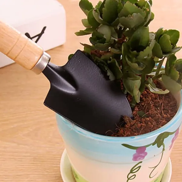 Hot Trädgårdsskyffel Set Mini Kit Hushållskruka Plantering Blommor Suckulenta Trädgårdsarbete ogräsrensning Verktyg Haveværktøj