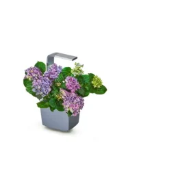 Hot TREGREN Kitchen Garden T3 Grå Krukkeplanter Indendørs