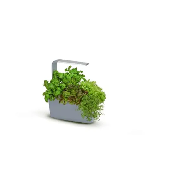 Kit Til Plante- & Urtedyrkning^TREGREN Kitchen Garden T6 Grå