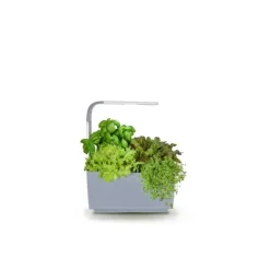 Kit Til Plante- & Urtedyrkning^TREGREN Kitchen Garden T6 Grå