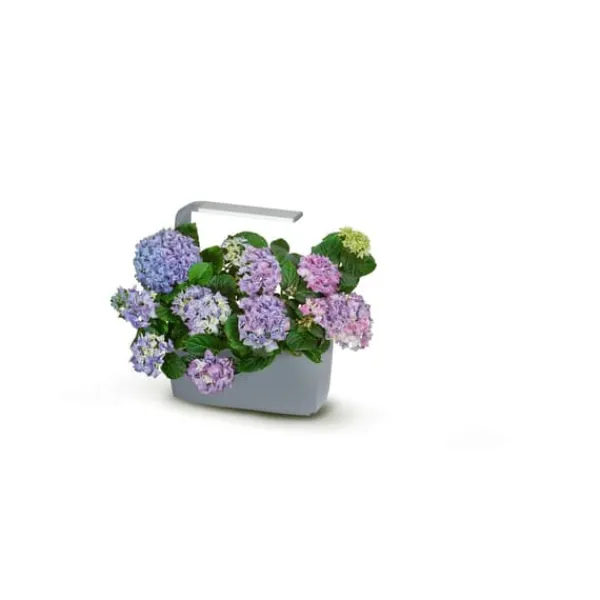 Kit Til Plante- & Urtedyrkning^TREGREN Kitchen Garden T6 Grå