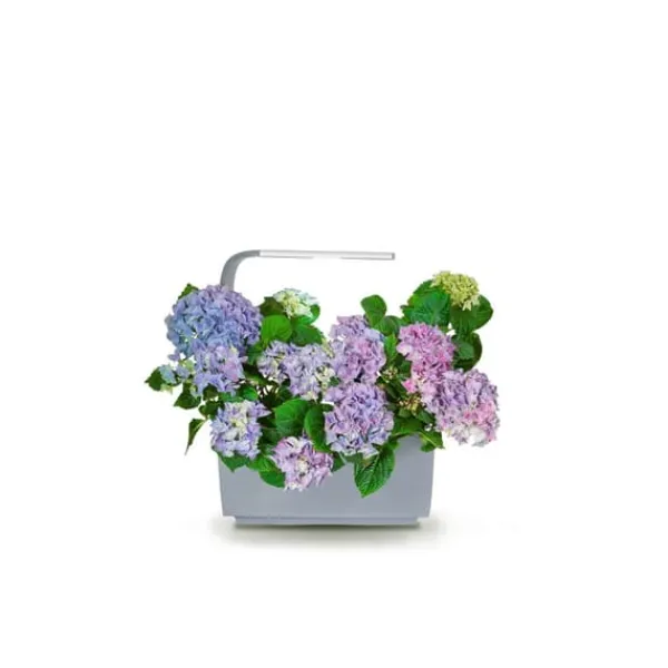 Kit Til Plante- & Urtedyrkning^TREGREN Kitchen Garden T6 Grå