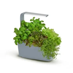 Kit Til Plante- & Urtedyrkning^Tregren Kitchen Garden T6 Grå