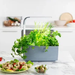 Kit Til Plante- & Urtedyrkning^Tregren Kitchen Garden T6 Grå