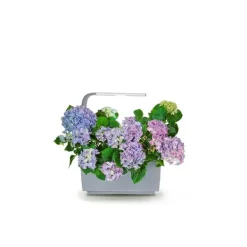 Kit Til Plante- & Urtedyrkning^Tregren Kitchen Garden T6 Grå
