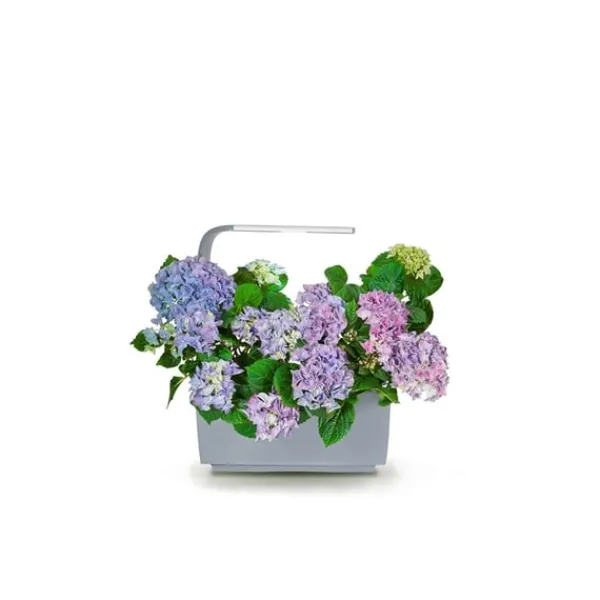 Kit Til Plante- & Urtedyrkning^Tregren Kitchen Garden T6 Grå