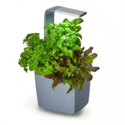 Kit Til Plante- & Urtedyrkning^Tregren Kitchen Garden T3 Grå
