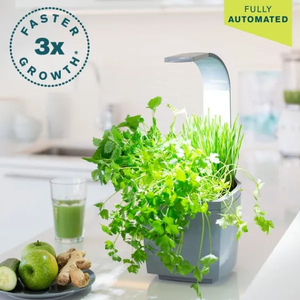 Kit Til Plante- & Urtedyrkning^Tregren Kitchen Garden T3 Grå
