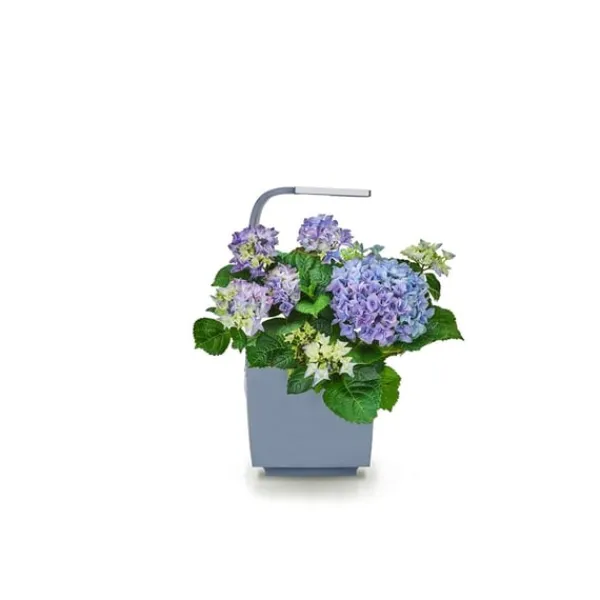 Kit Til Plante- & Urtedyrkning^Tregren Kitchen Garden T3 Grå