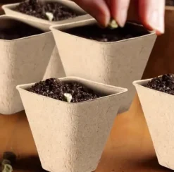 Krukker & Plantebeholdere^Tørvepotter til frøplanter 8 cm 20 stk.
