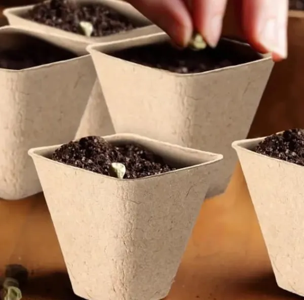 Krukker & Plantebeholdere^Tørvepotter til frøplanter 8 cm 20 stk.