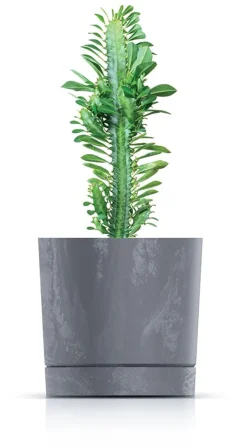 Online Tubo P Beton Effect 240E Rund Urtepotte med Underkop | Marengo Krukker & Plantebeholdere